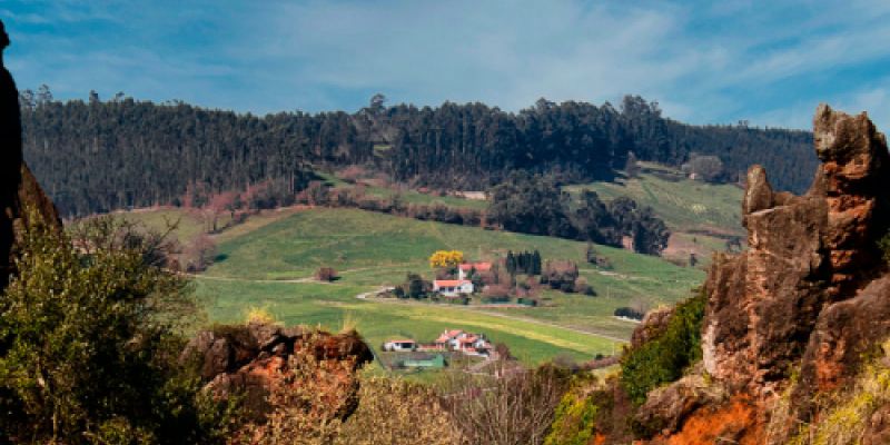 Paisaje de montaña y prado cántabros