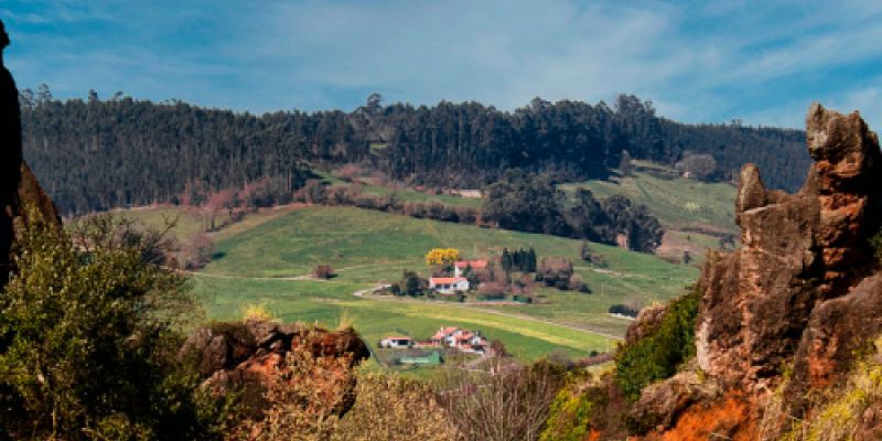Paisaje de montaña y prado cántabros